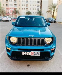 جيب رينيجيد